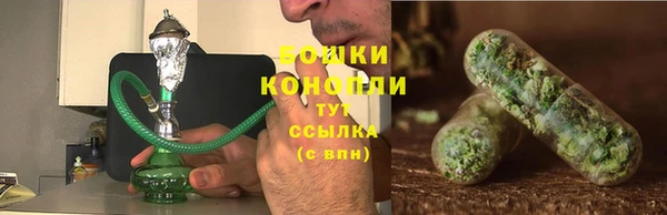 индика Белоозёрский